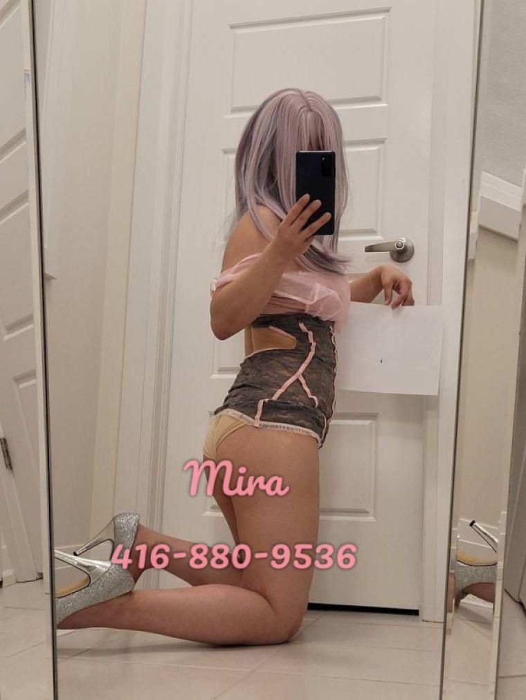 416-880-9536 